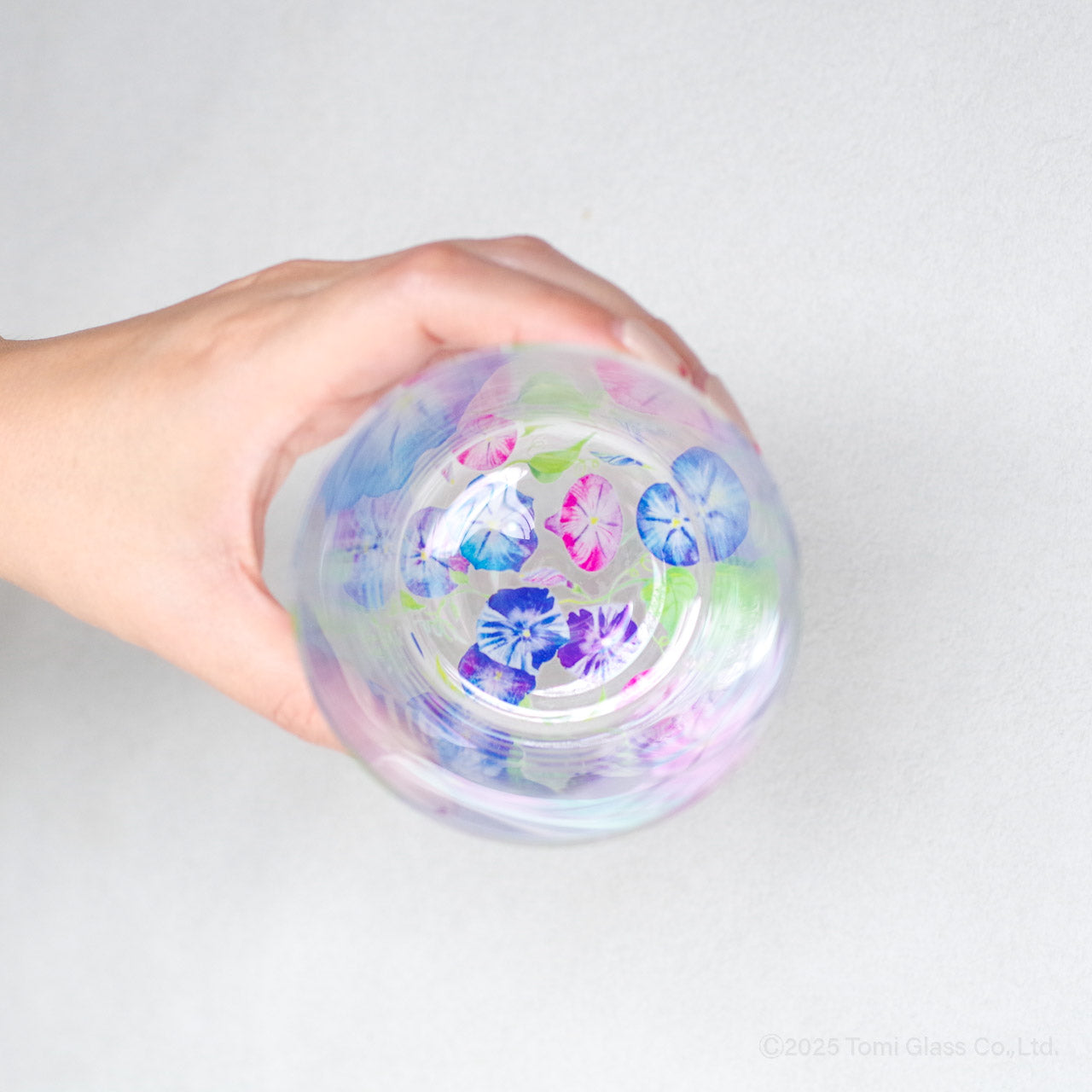 WEB限定/花咲くグラス/朝顔/ECS6-516