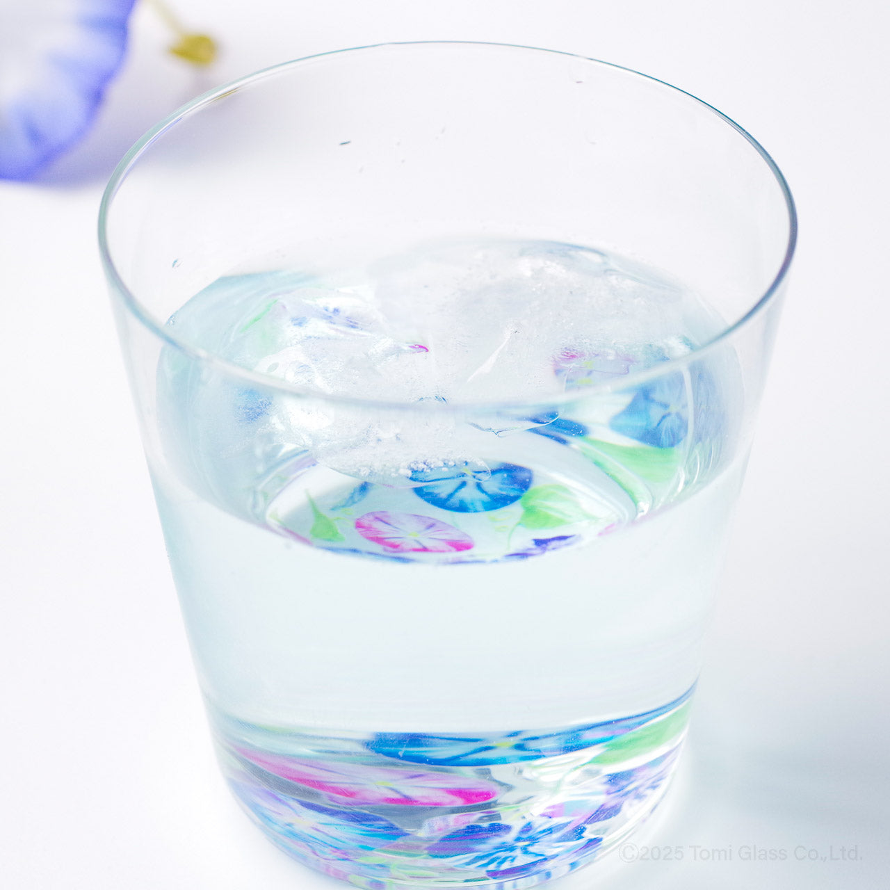 WEB限定/花咲くグラス/朝顔/ECS6-516