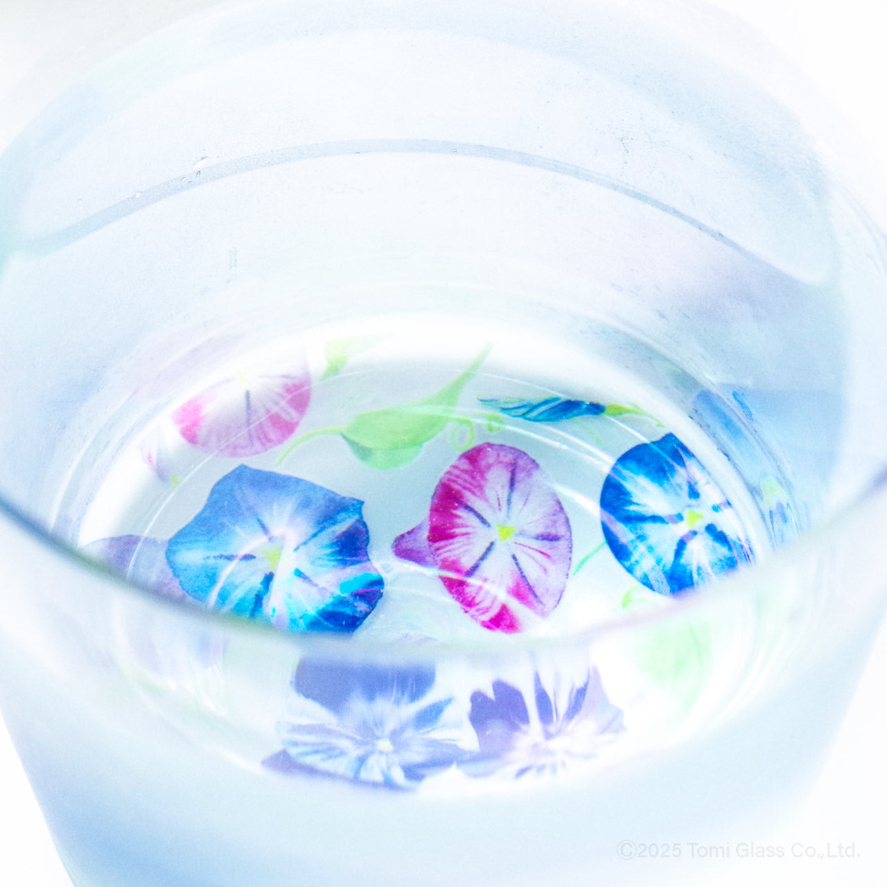 WEB限定/花咲くグラス/朝顔/ECS6-516