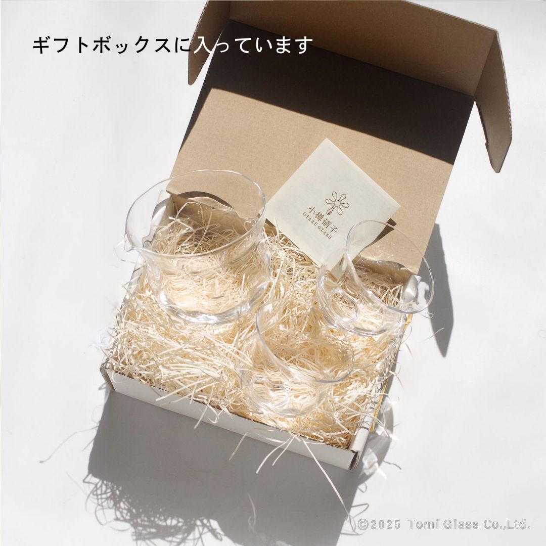 WEB限定/小樽の吹きガラス酒器セット/ECST065