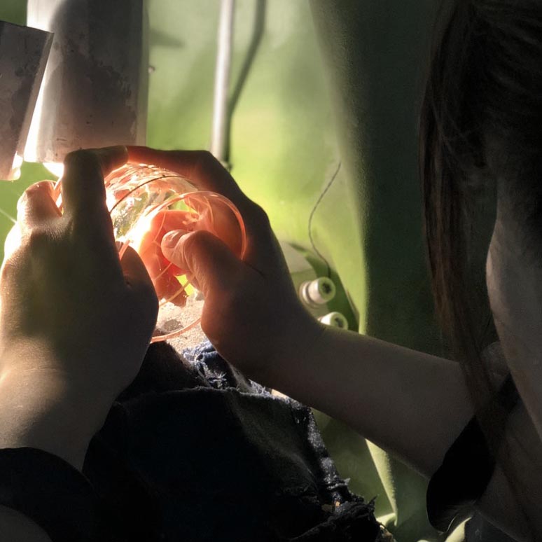 小樽-切子-職人