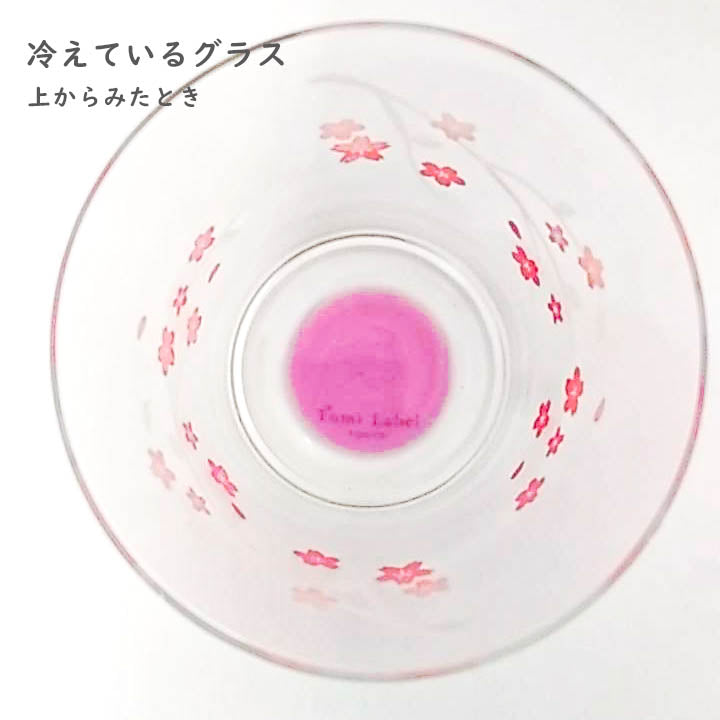 カラーチェンジ/サクラ/タンブラーペアセット/底ピンク/ECST6906-otz