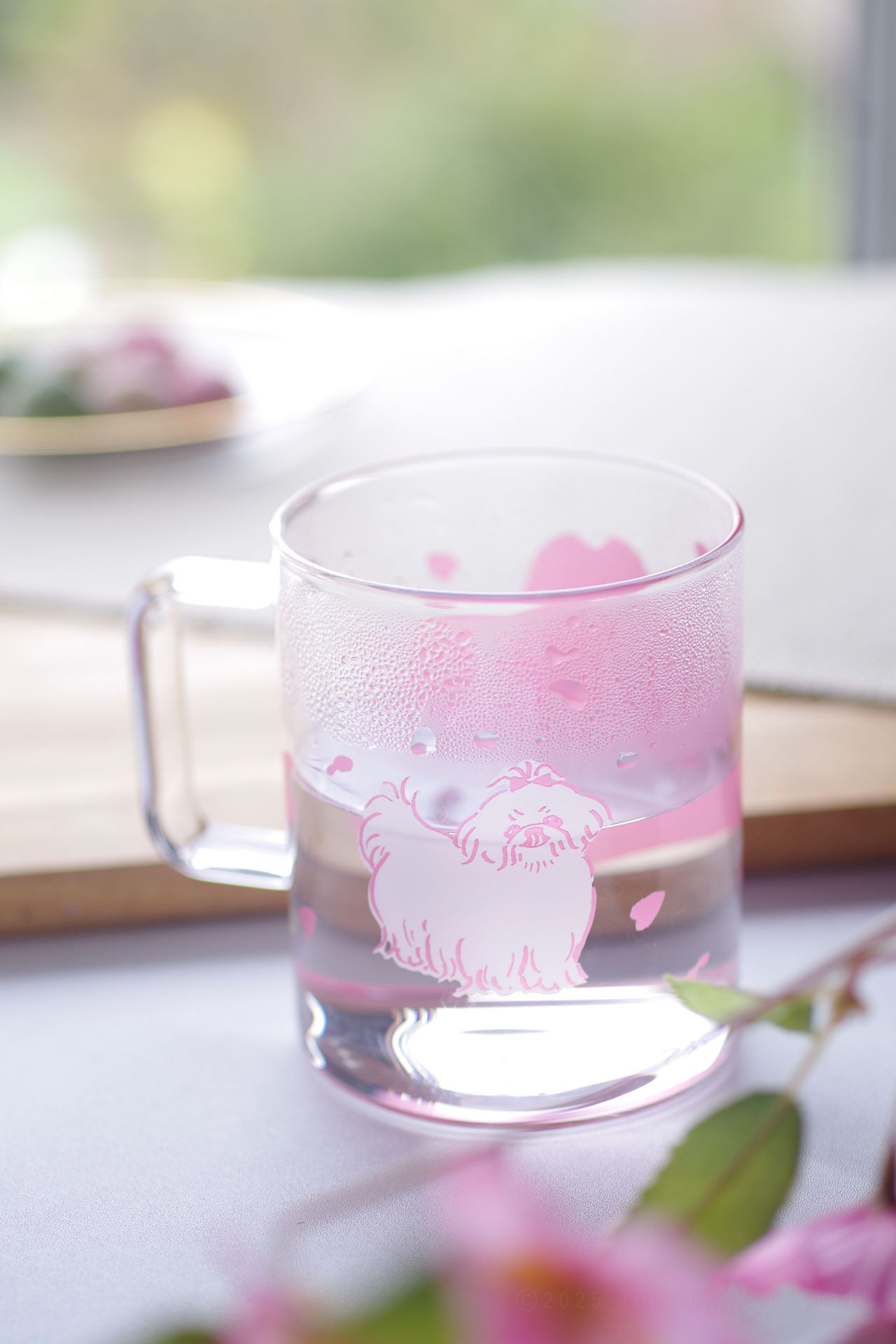 WEB限定／耐熱プリントマグ／サクラ／ECA9-523