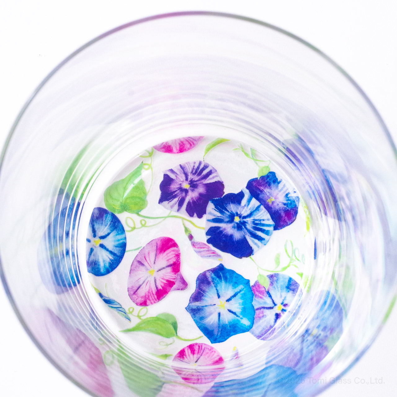 WEB限定／花咲くグラス／朝顔／ECS6-516
