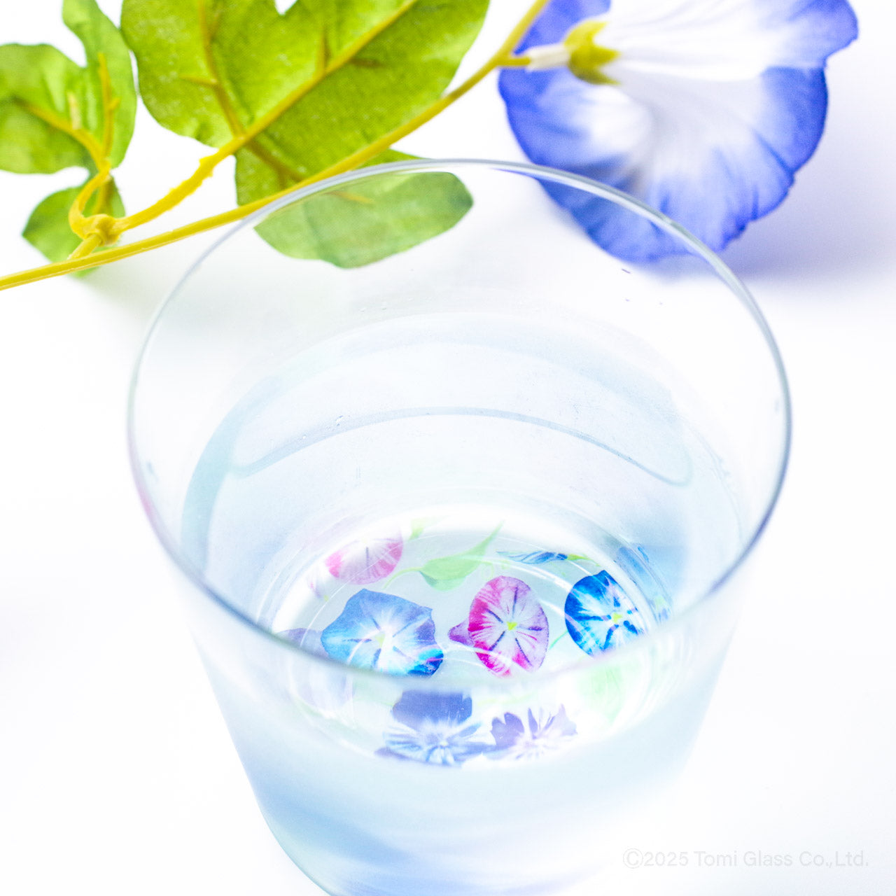 WEB限定／花咲くグラス／朝顔／ECS6-516