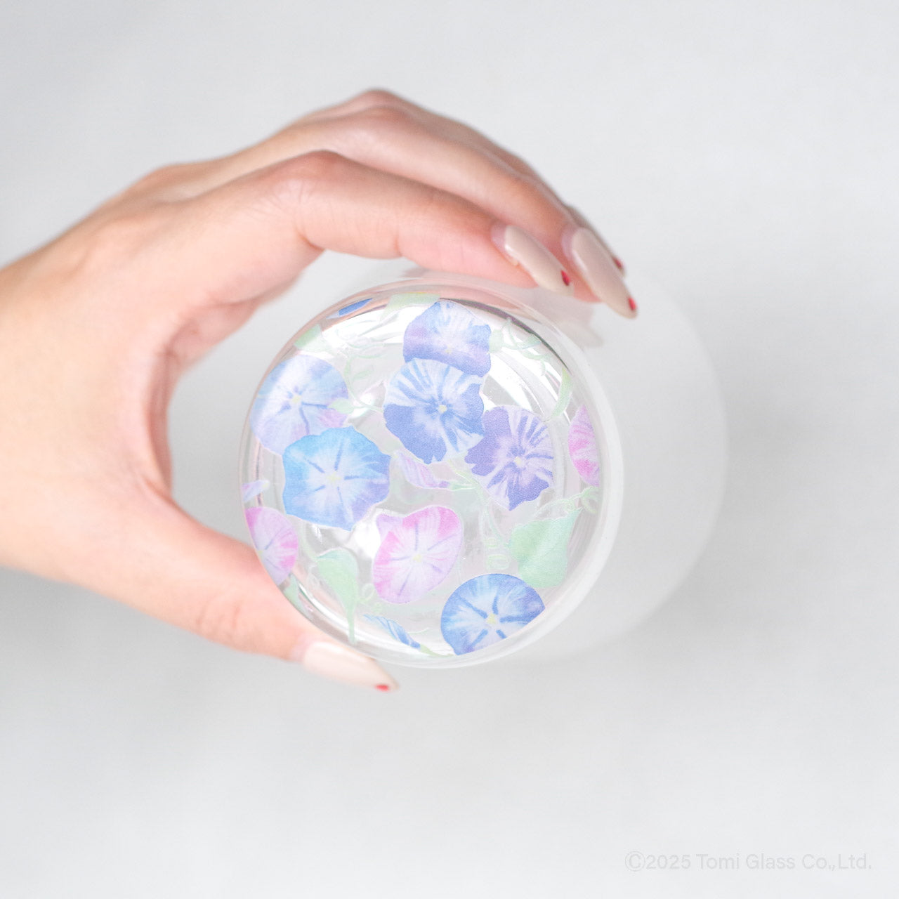 WEB限定／花咲くグラス／朝顔／ECS6-516