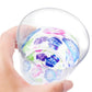 WEB限定／花咲くグラス／朝顔／ECS6-516