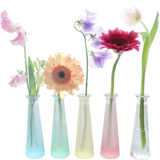 WEB限定／ヴィンテージ小瓶／スリム／5本セット／FG-8SET