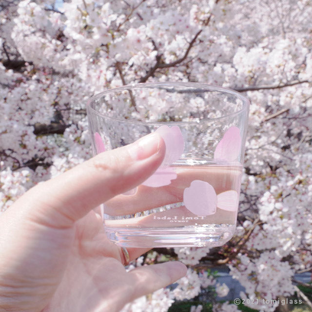 桜-お花見-グラス