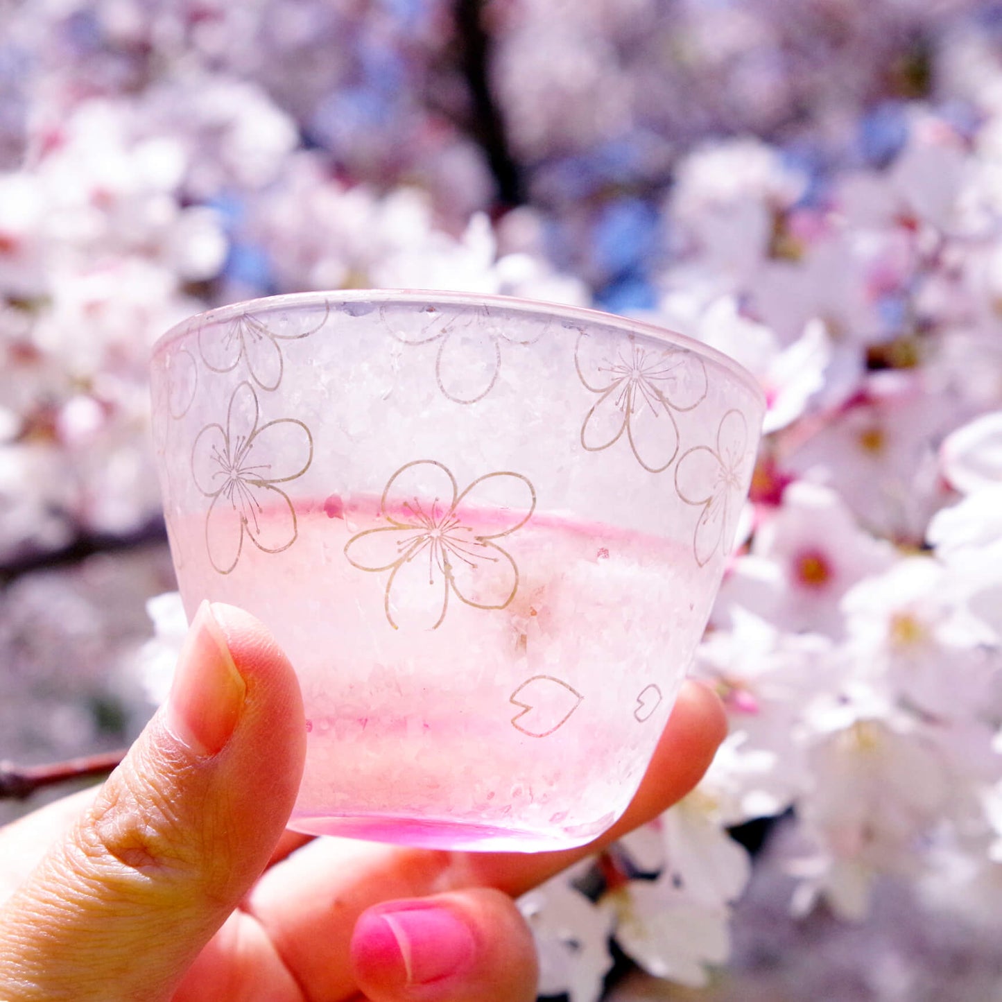 桜-花見-お酒