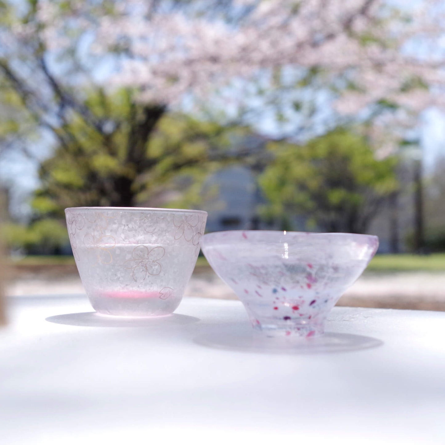 桜-花見-お酒-マイおちょこ